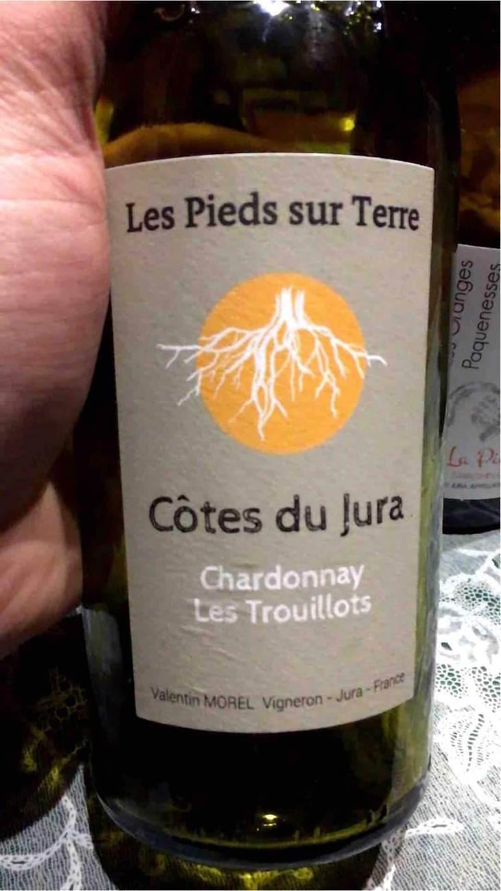 Chardonnay Les Trouillots - Les Pieds Sur Terre - Valentin Morel 