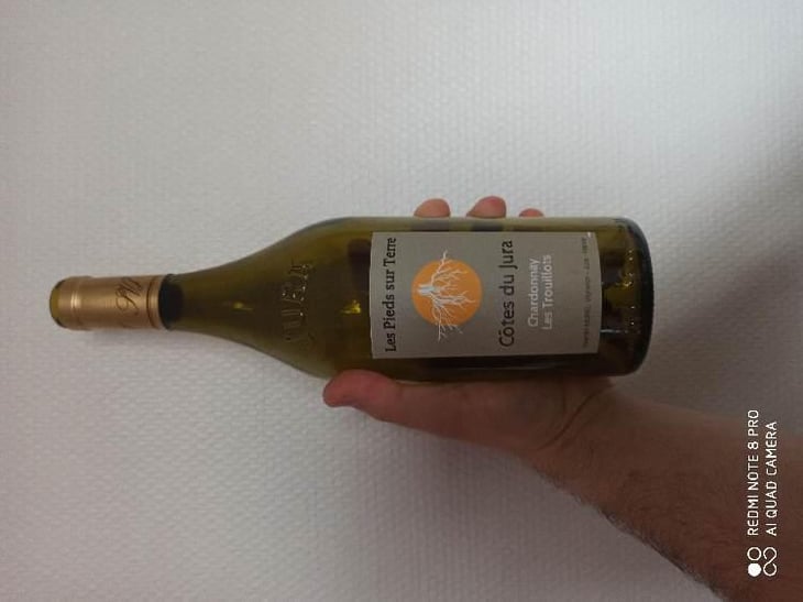Chardonnay Les Trouillots - Les Pieds Sur Terre - Valentin Morel 