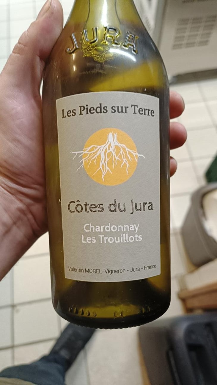 Chardonnay Les Trouillots - Les Pieds Sur Terre - Valentin Morel 