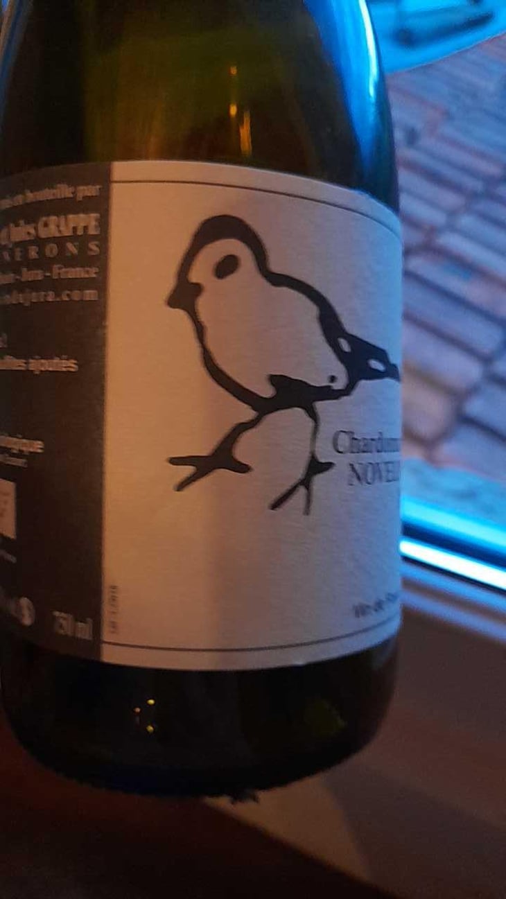 Chardonnay "Novelin" sous voile - Didier Grappe - Didier et Jules Grappe -2020