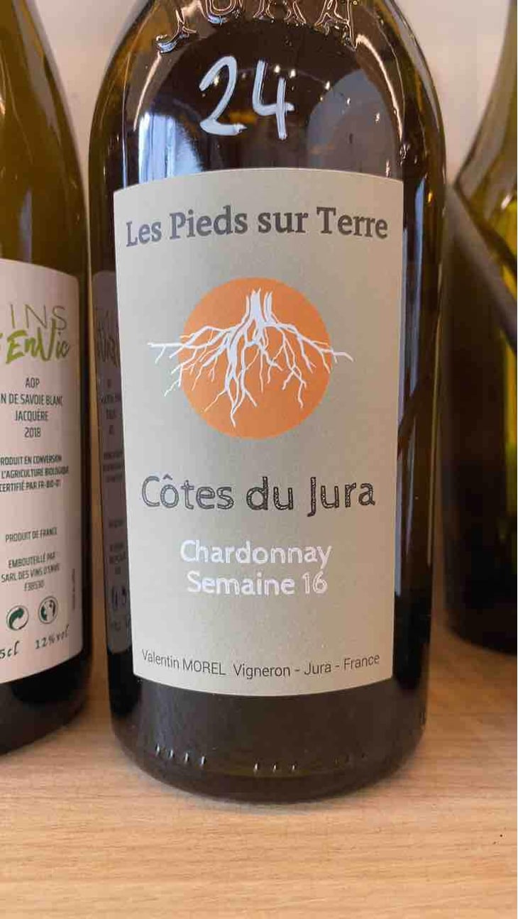 Chardonnay Semaine 16 - Les Pieds Sur Terre - Valentin Morel 