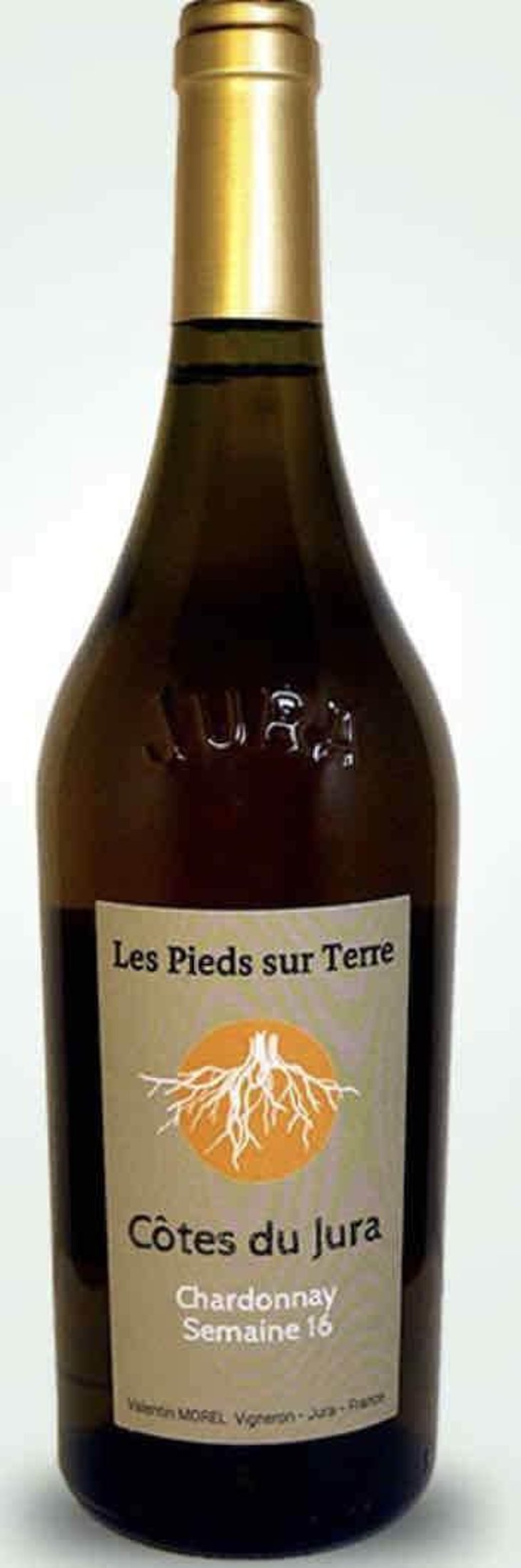 Chardonnay Semaine 16 - Les Pieds Sur Terre - Valentin Morel 