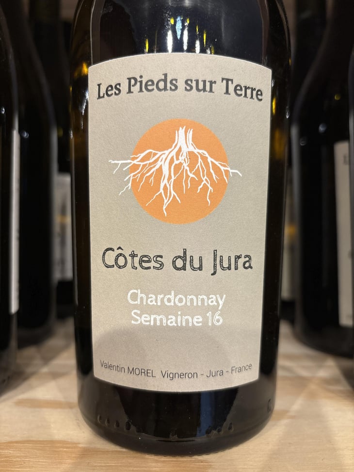 Chardonnay Semaine 16 - Les Pieds Sur Terre - Valentin Morel 