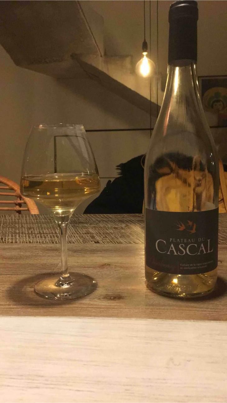 Chardonnay - Plateau Du Cascal - Sofi Bataillard et Julien Veyret 