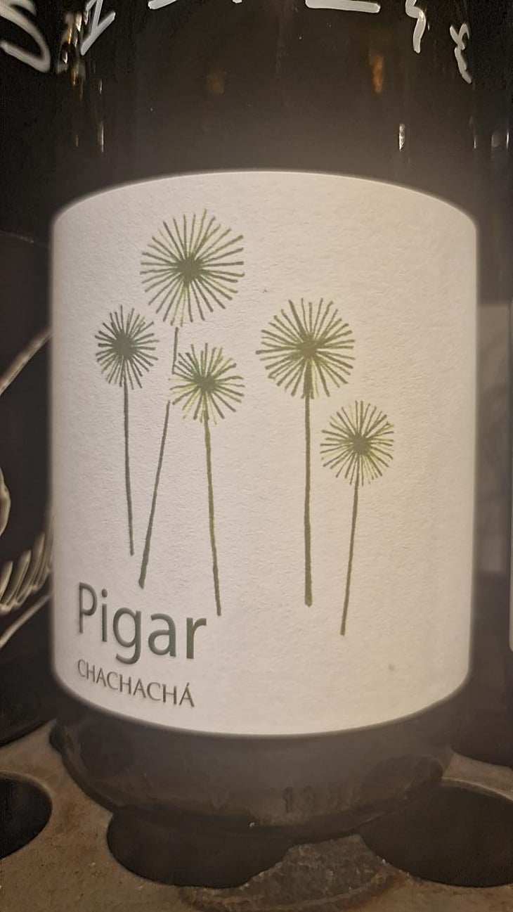 Chardonnay - Bodegas Y Viñedos Pigar - Juan Piqueras & Susana López 