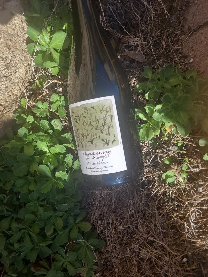 Chardonnay Vin De Nuyts - Vin & Pic - Laurent & Christine Demeure, Pierre Rolle 