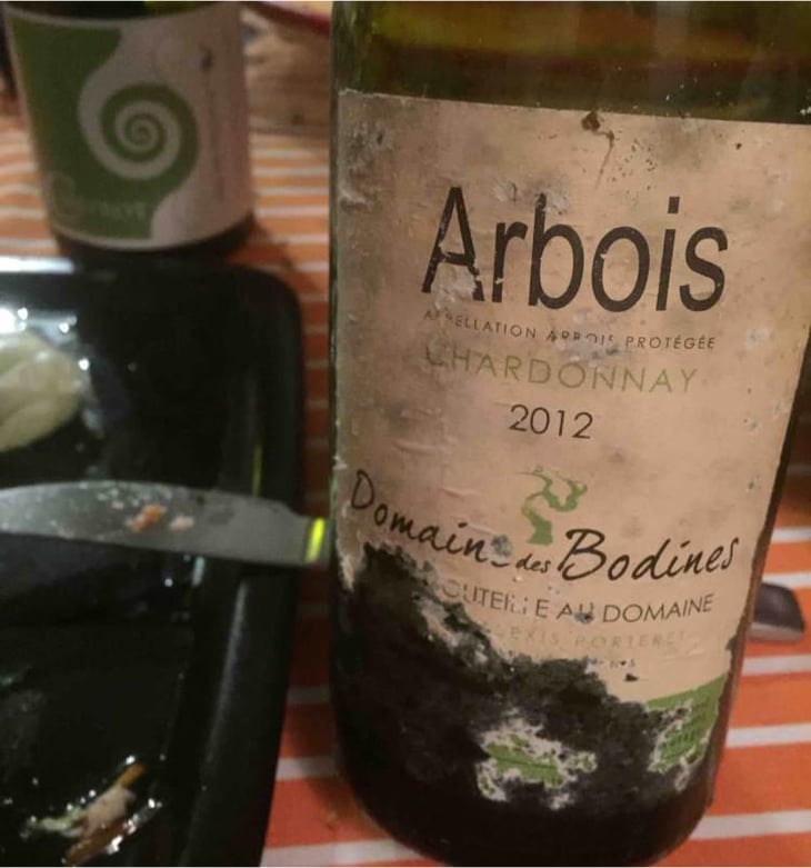 Chardonnay - Domaine des Bodines - Emilie & Alexis Porteret 