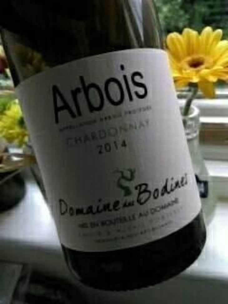 Chardonnay - Domaine des Bodines - Emilie & Alexis Porteret 