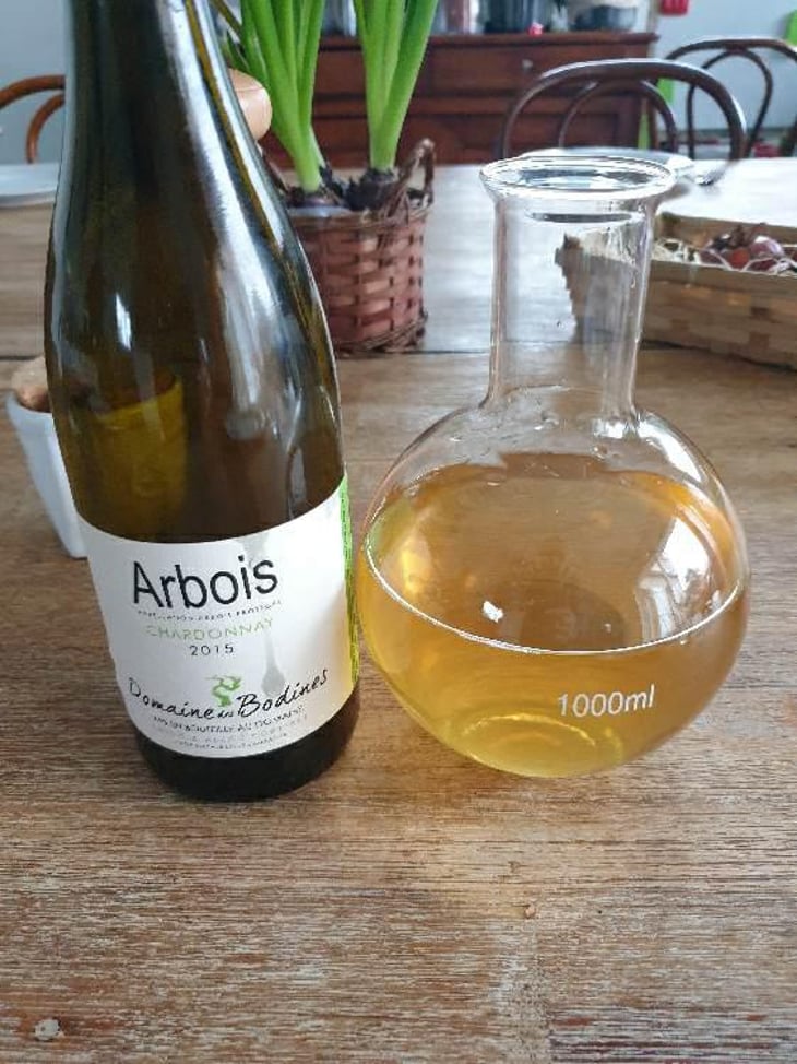 Chardonnay - Domaine des Bodines - Emilie & Alexis Porteret 