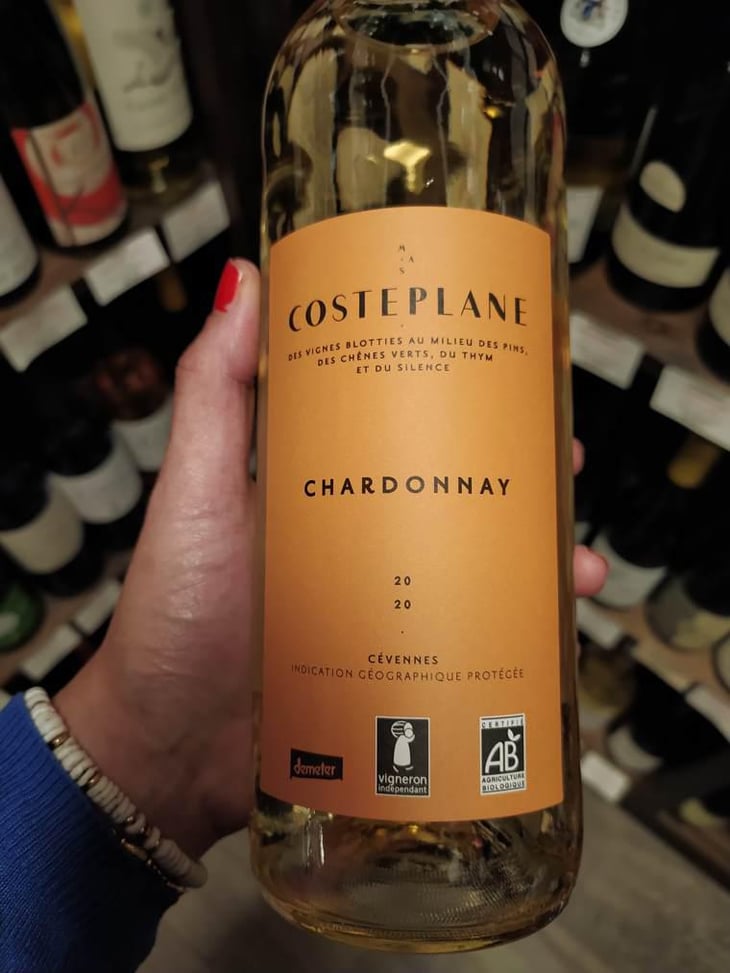 Chardonnay - Domaine Costeplane - Françoise & Vincent Coste 