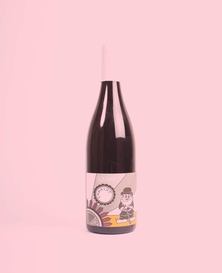 Charlot - Domaine de l'Octavin - Alice Bouvot 