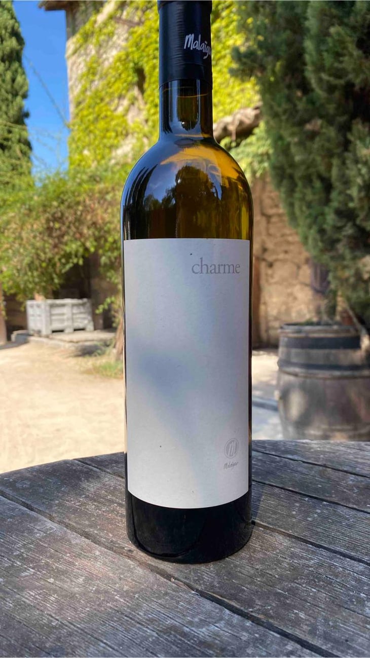 Charme - Domaine de Malaïgue - Francois Reboul 