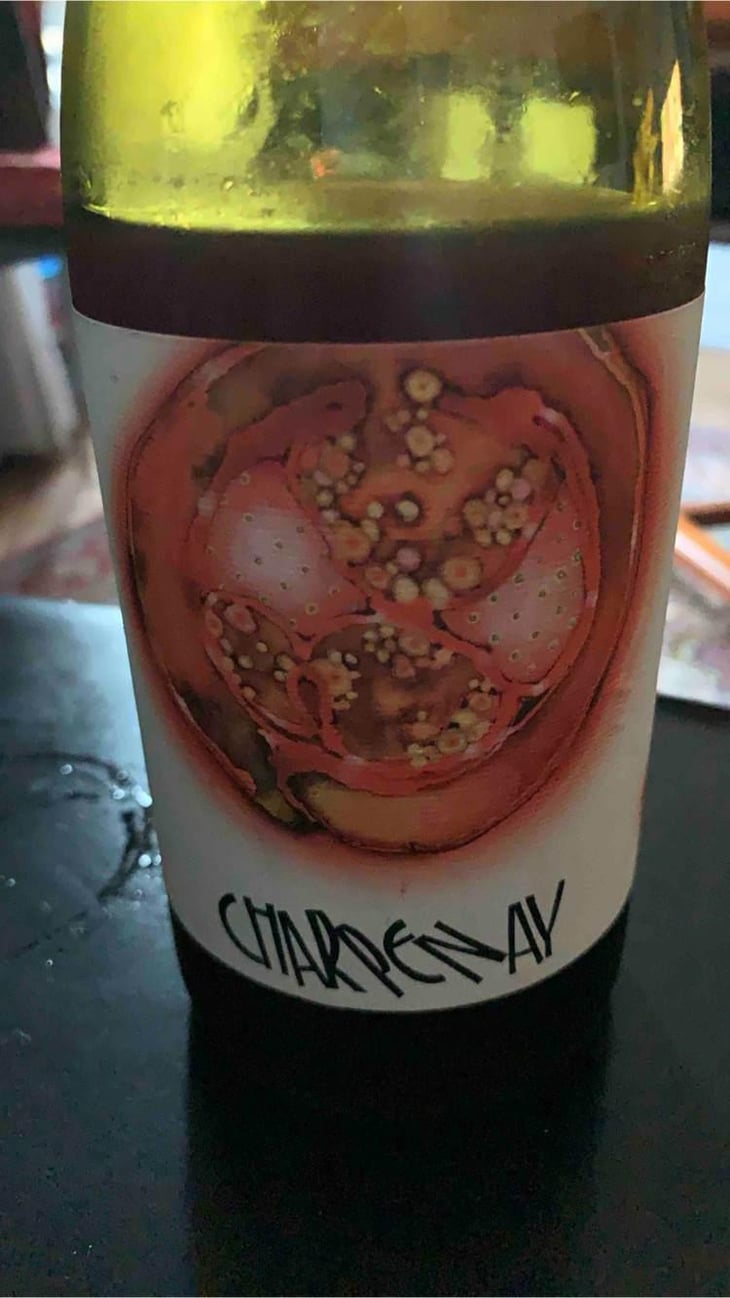 Charpenay Rouge - Domaine de la Gapette - Victor Blondin 