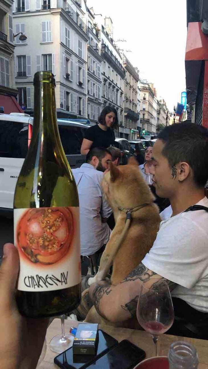 Charpenay - Domaine de la Gapette - Victor Blondin 