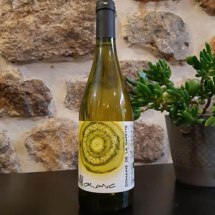 Charpenay - Domaine de la Gapette - Victor Blondin 