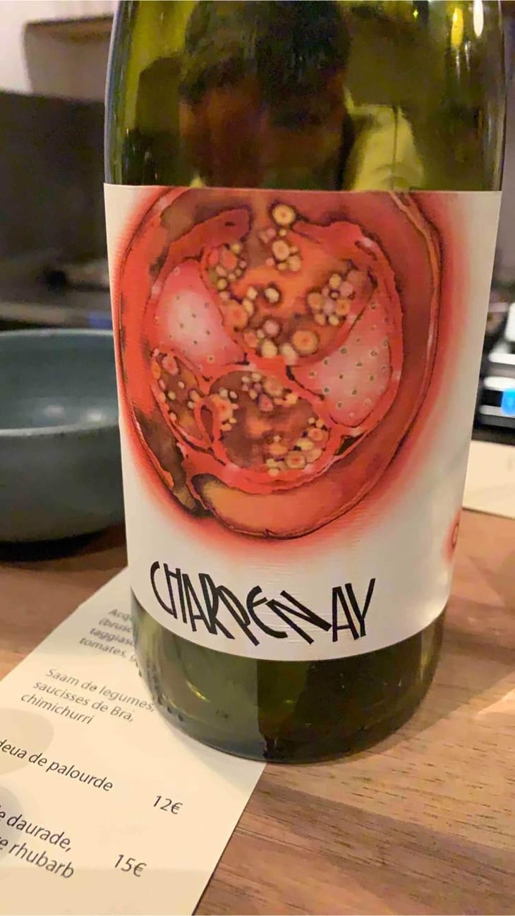 Charpenay Rouge - Domaine de la Gapette - Victor Blondin 