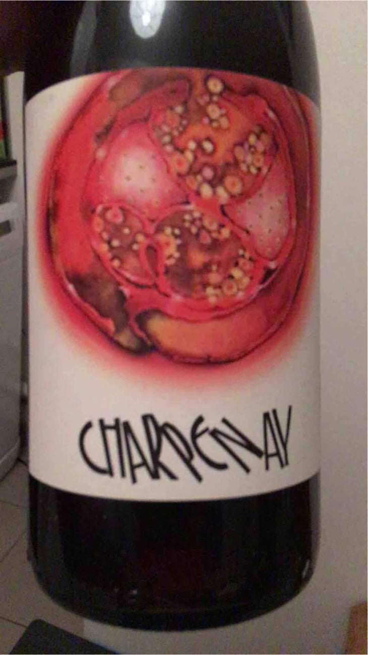 Charpenay Rouge - Domaine de la Gapette - Victor Blondin 