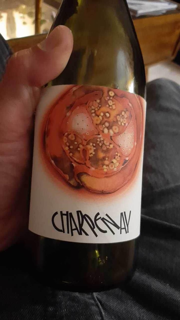 Charpenay Rouge - Domaine de la Gapette - Victor Blondin 
