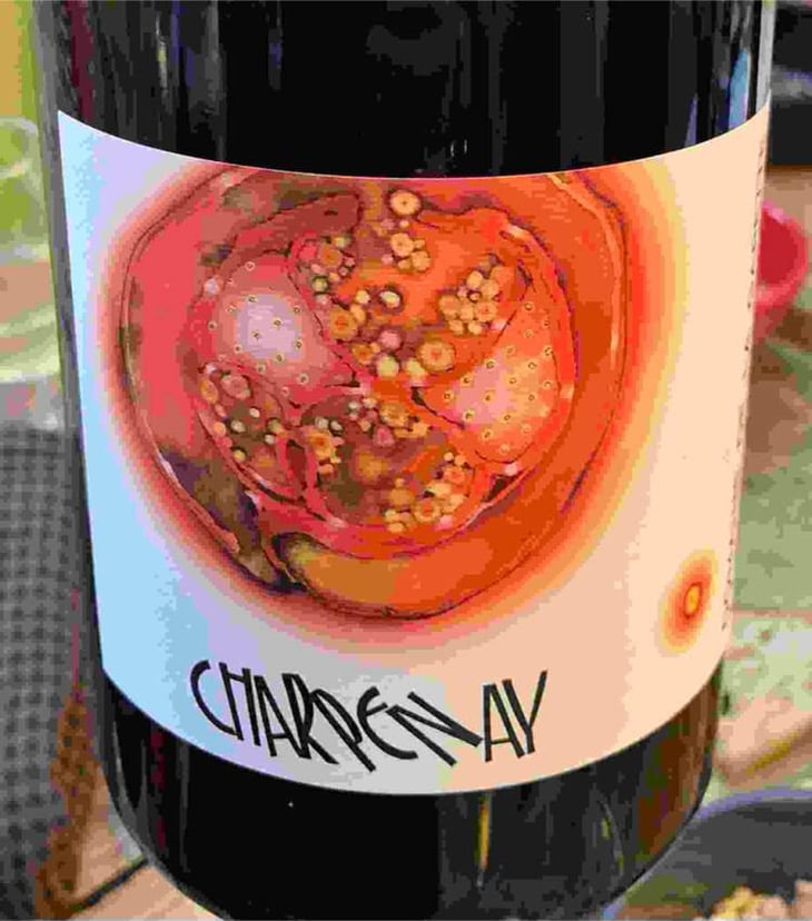 Charpenay Rouge - Domaine de la Gapette - Victor Blondin 