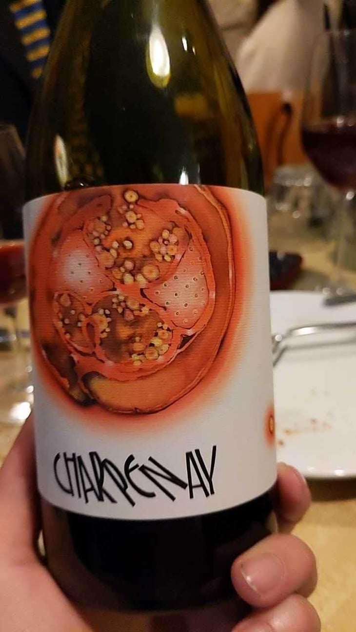 Charpenay Rouge - Domaine de la Gapette - Victor Blondin 