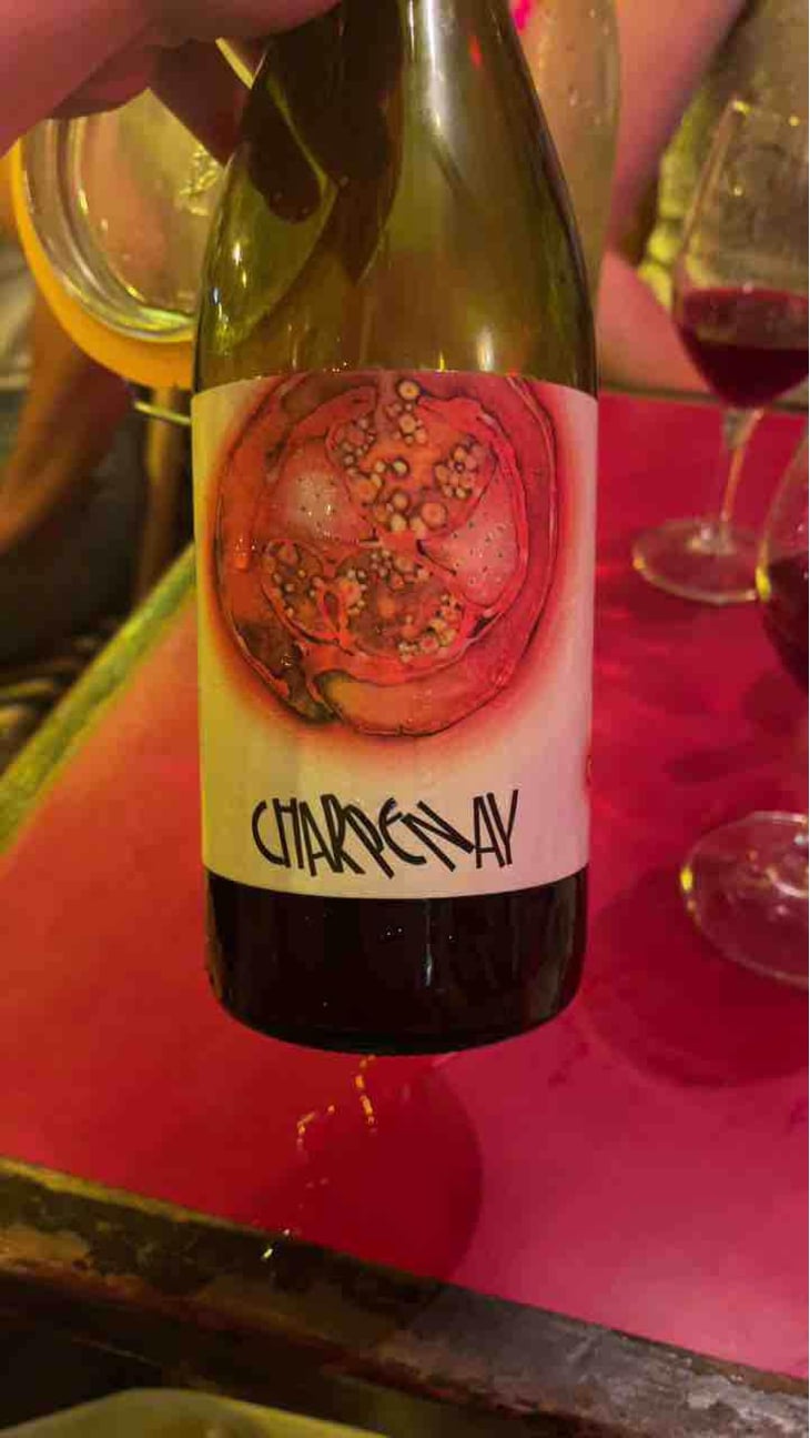 Charpenay Rouge - Domaine de la Gapette - Victor Blondin 