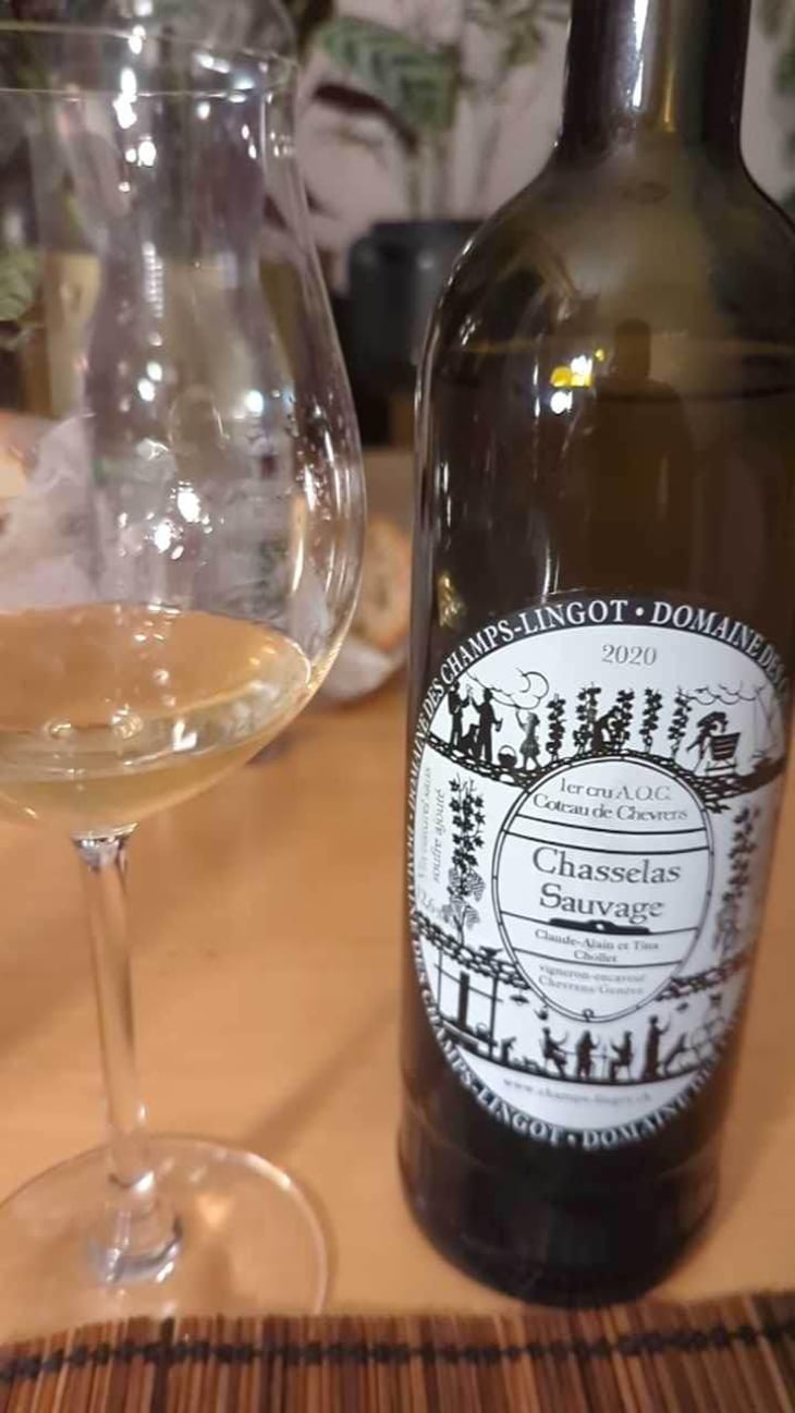 Chasselas Sauvage - Domaine des Champs-Lingots - Claude-Alain Chollet 