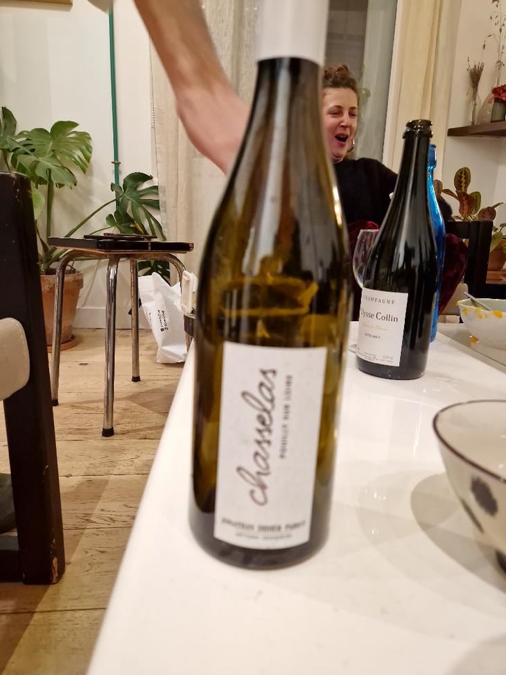Chasselas - Jonathan Didier Pabiot - Jonathan Pabiot 