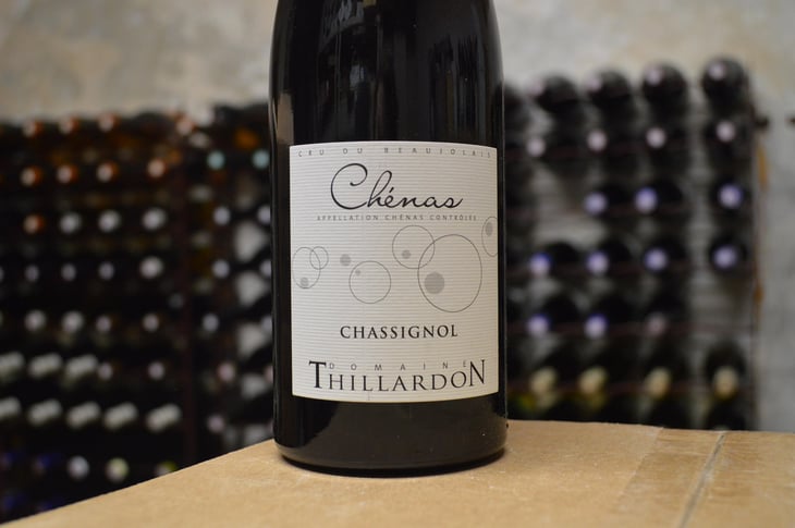 Chassignol - Domaine Thillardon - Aude, Jean-Baptiste, Charles et Paul-Henri Thillardon 