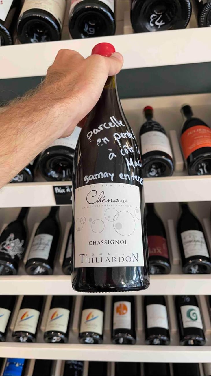 Chassignol - Domaine Thillardon - Aude, Jean-Baptiste, Charles et Paul-Henri Thillardon 