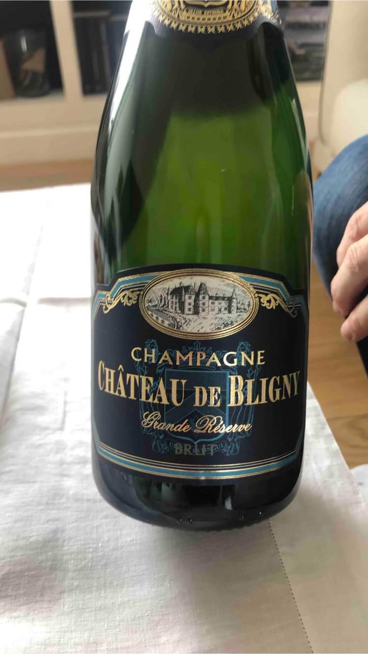 Château De Bligny - Champagne Château de Bligny - Famille Rapeneau 