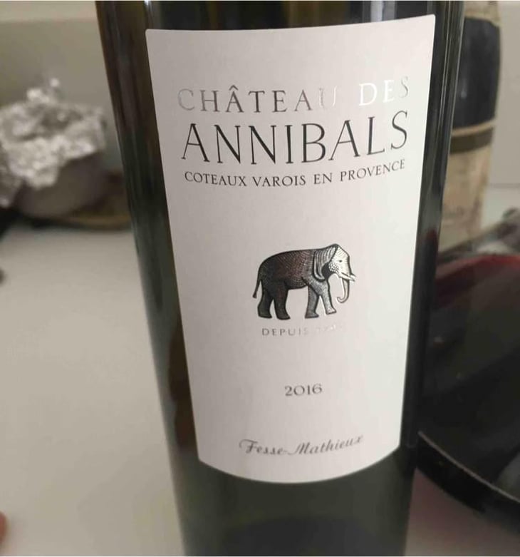 Château Des Annibals - Domaine Des Annibals - Fesse- Mathieux 