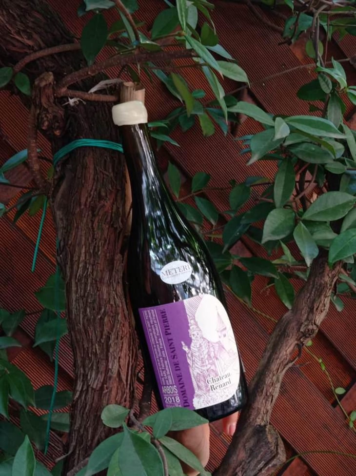 Chateau Renard - Domaine de Saint Pierre - Fabrice Dodane 