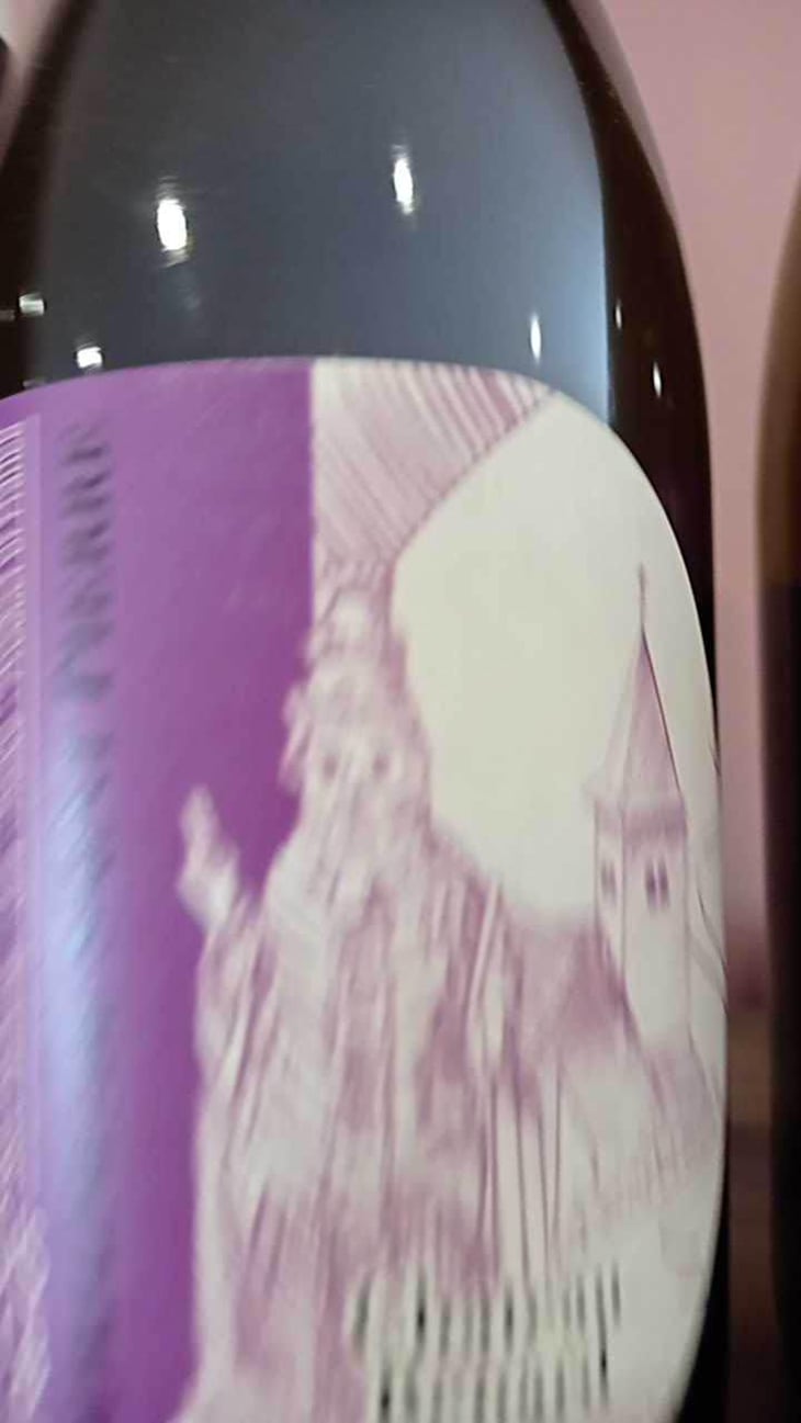 Chateau Renard - Domaine de Saint Pierre - Fabrice Dodane 