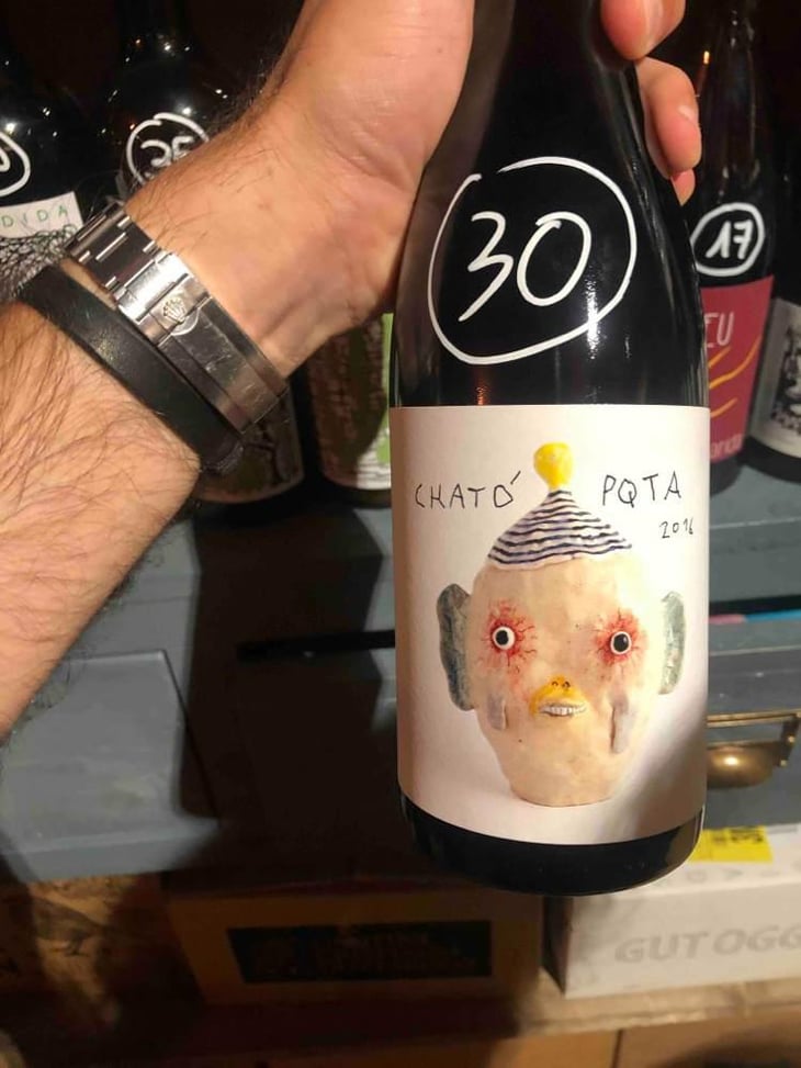 Chato Pqta 2016 - Sistema Vinari - Eloi Cedó Perelló 
