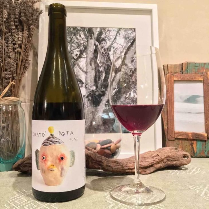Chato Pqta 2016 - Sistema Vinari - Eloi Cedó Perelló 
