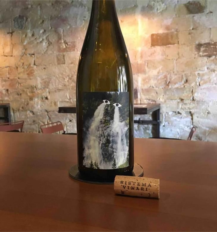 Chato Pqta 2016 - Sistema Vinari - Eloi Cedó Perelló 