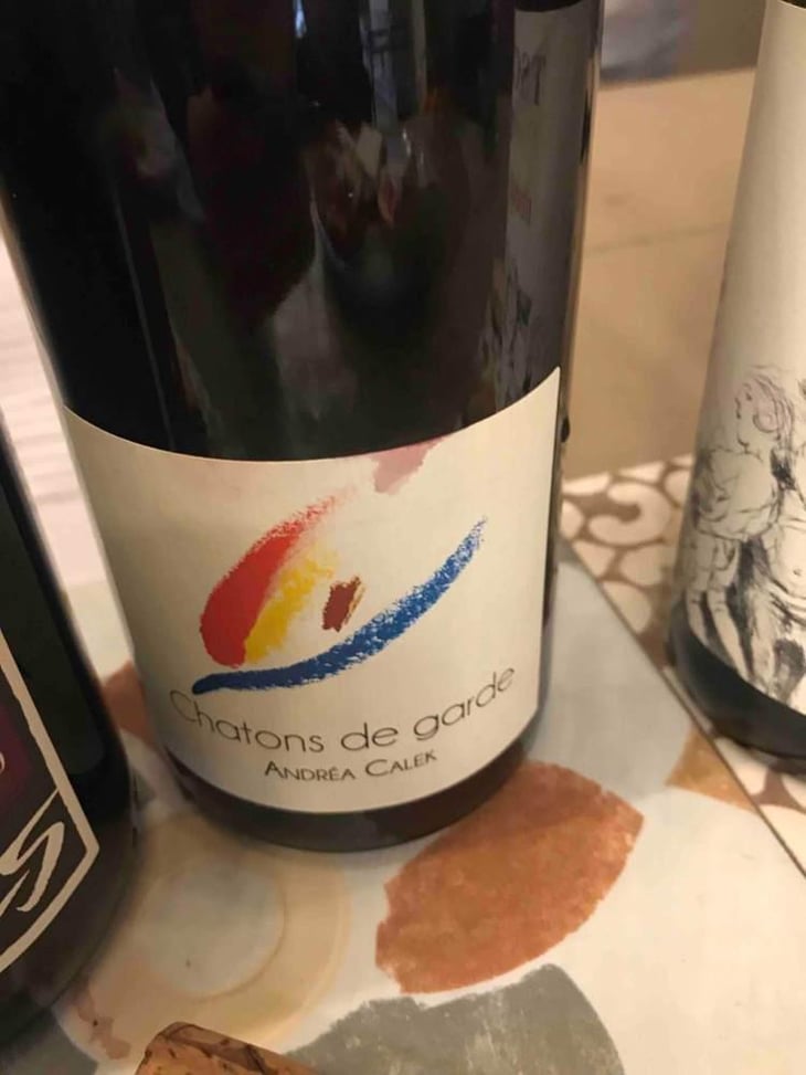 Chatons de Garde - Andrea Calek - Andrea Calek et Stephana Nicolescu 