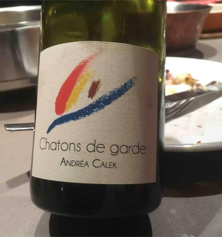 Chatons de Garde - Andrea Calek - Andrea Calek et Stephana Nicolescu 