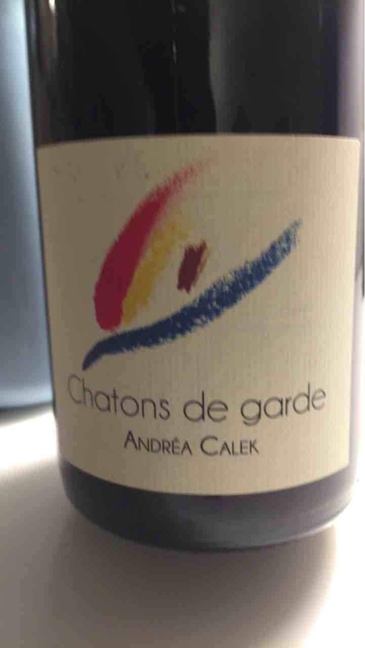 Chatons de Garde - Andrea Calek - Andrea Calek et Stephana Nicolescu 