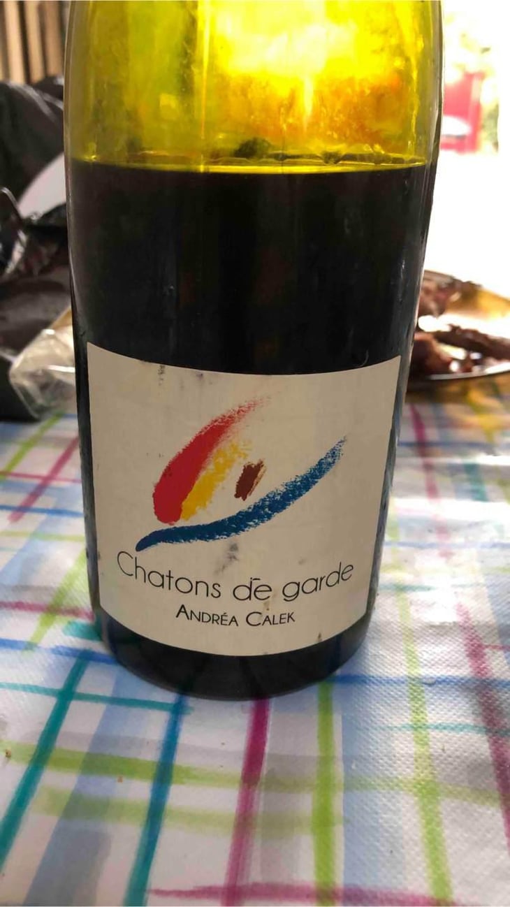 Chatons de Garde - Andrea Calek - Andrea Calek et Stephana Nicolescu 