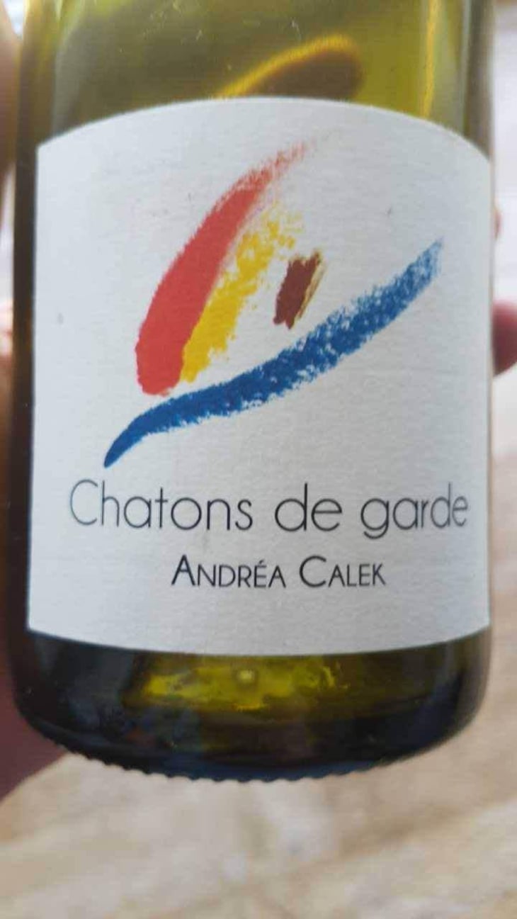 Chatons de Garde - Andrea Calek - Andrea Calek et Stephana Nicolescu 