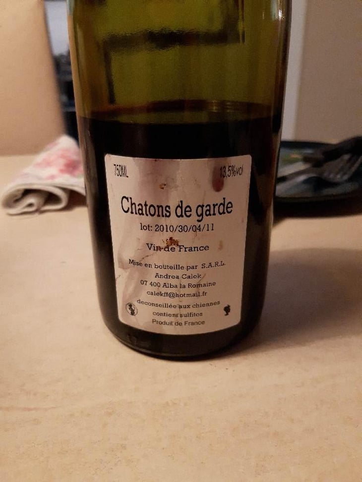 Chatons de Garde - Andrea Calek - Andrea Calek et Stephana Nicolescu 