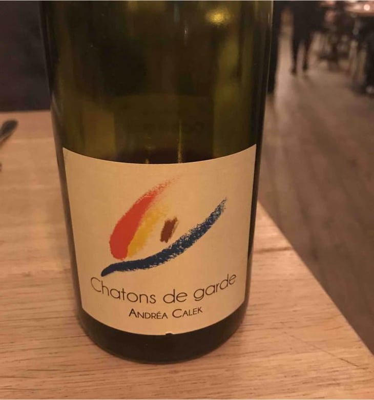Chatons de Garde - Andrea Calek - Andrea Calek et Stephana Nicolescu 