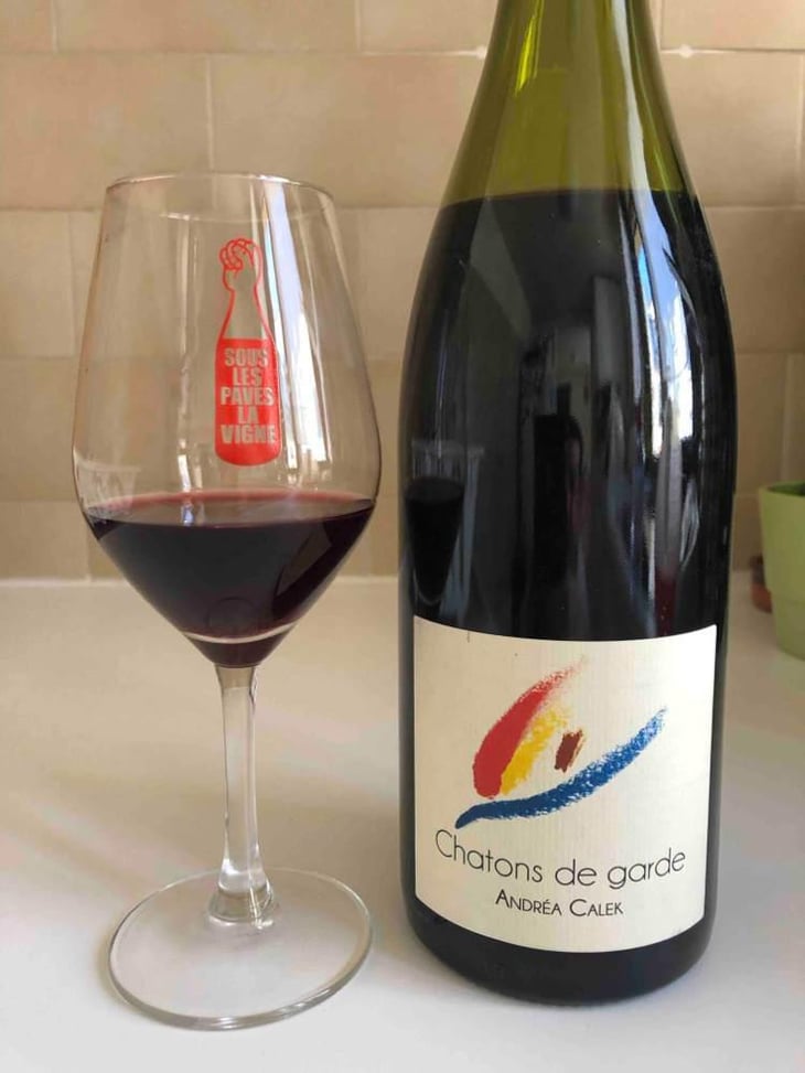 Chatons de Garde - Andrea Calek - Andrea Calek et Stephana Nicolescu 