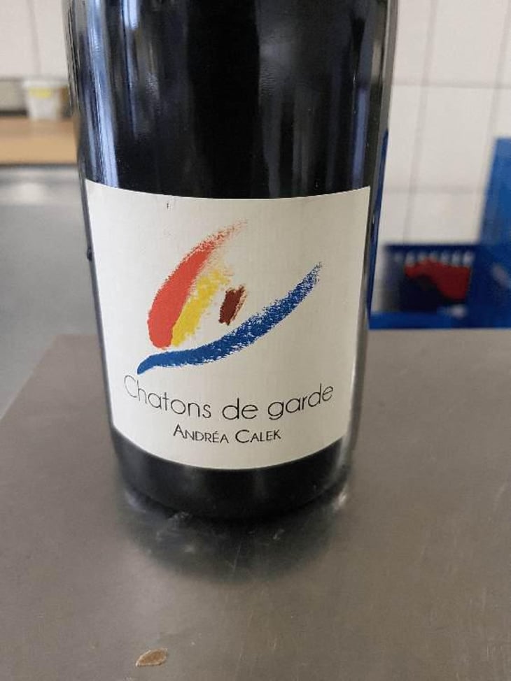 Chatons de Garde - Andrea Calek - Andrea Calek et Stephana Nicolescu 