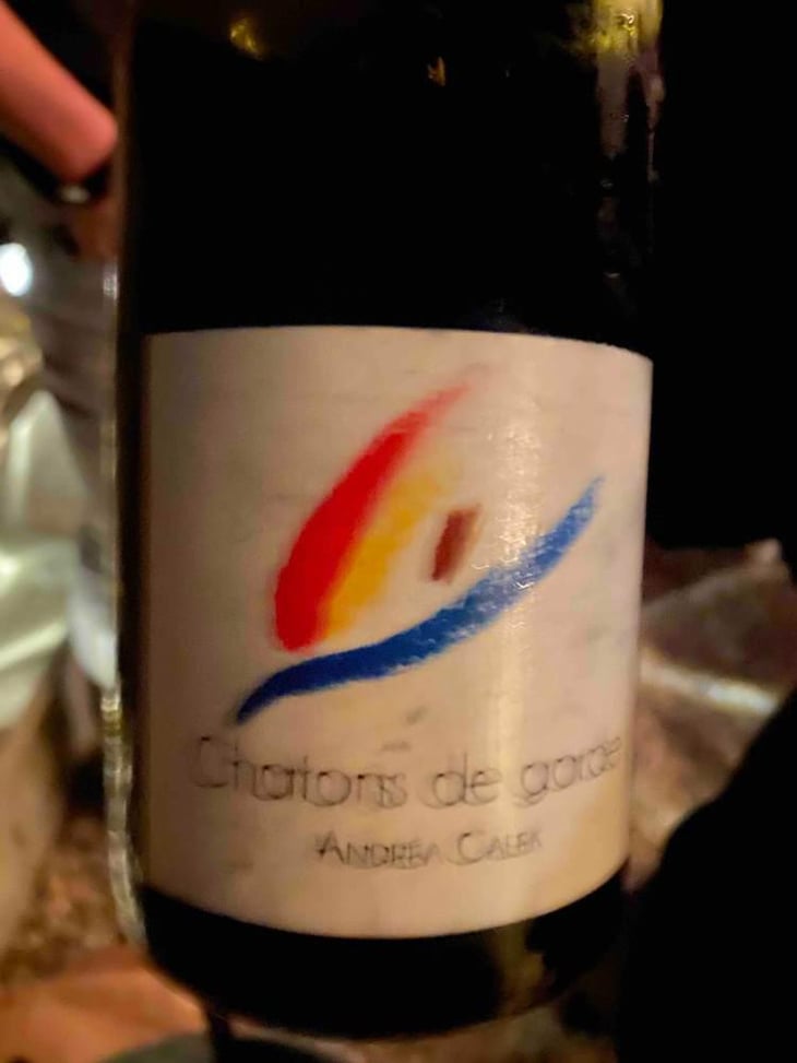 Chatons de Garde - Andrea Calek - Andrea Calek et Stephana Nicolescu 