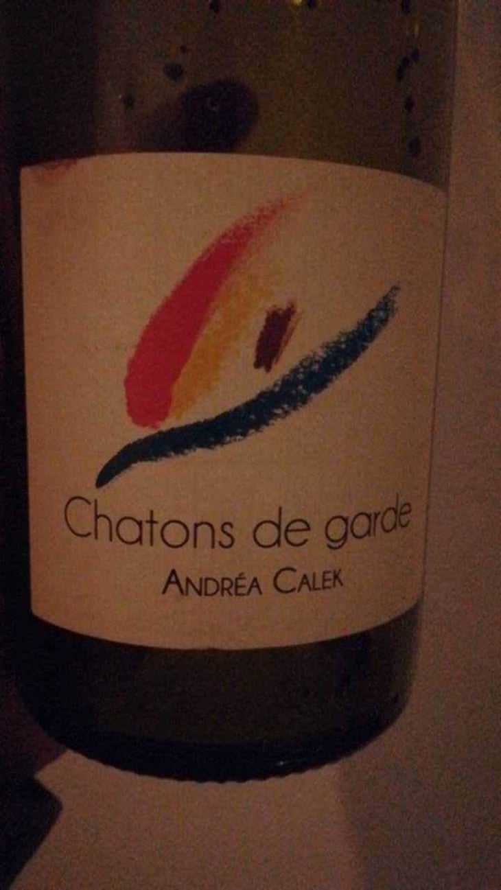 Chatons de Garde - Andrea Calek - Andrea Calek et Stephana Nicolescu 