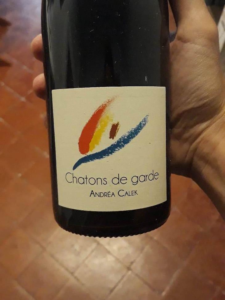 Chatons de Garde - Andrea Calek - Andrea Calek et Stephana Nicolescu 