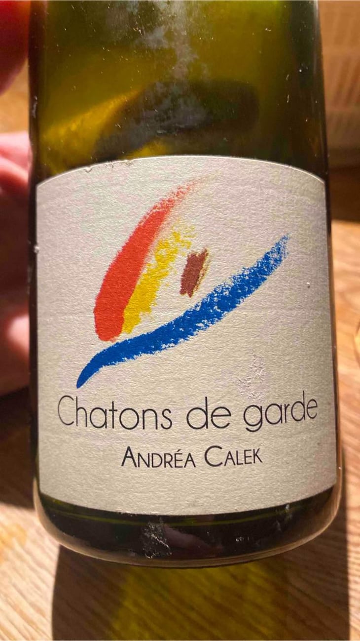 Chatons de Garde - Andrea Calek - Andrea Calek et Stephana Nicolescu 