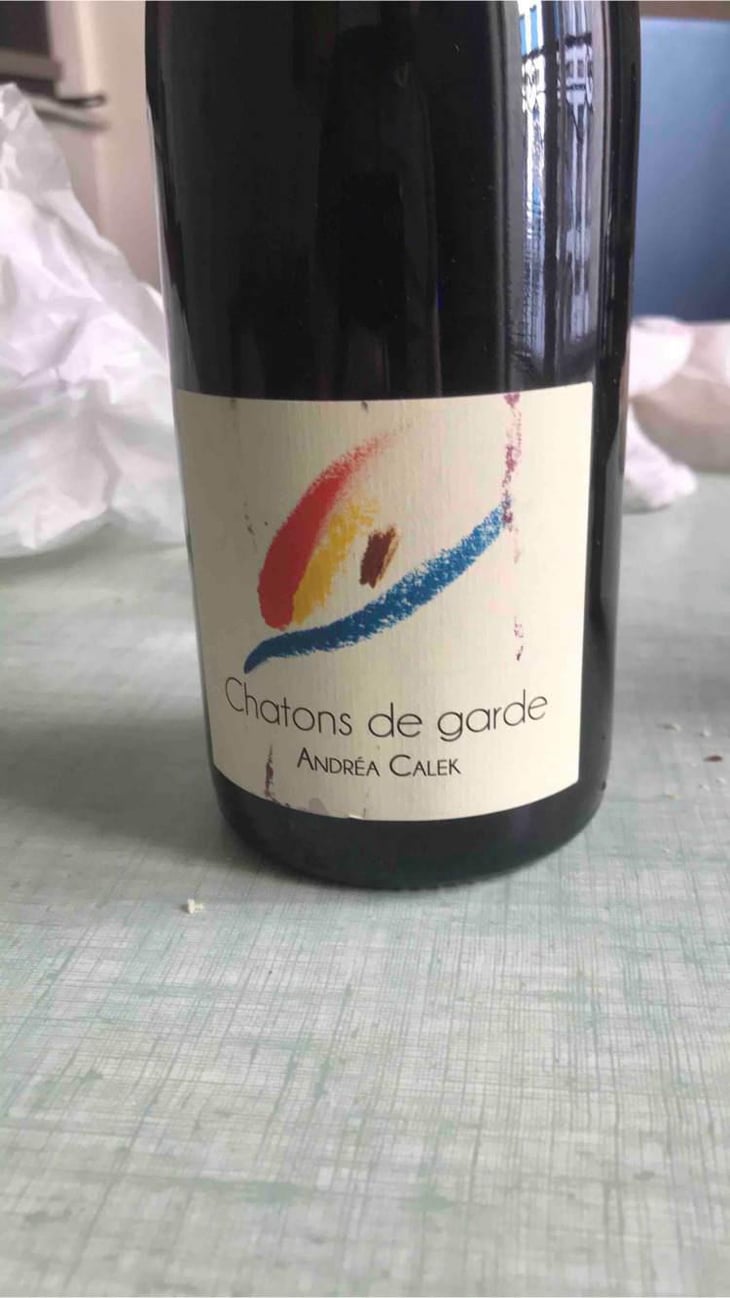 Chatons de Garde - Andrea Calek - Andrea Calek et Stephana Nicolescu 